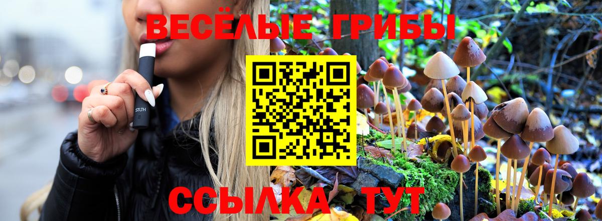 Пенза  Псилоцибиновые грибы Psilocybine cubensis  Вход с VPN 