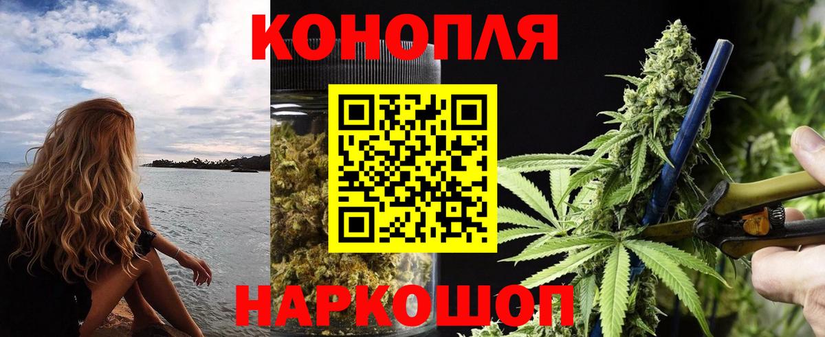 Шишки марихуана Amnesia  Шишки марихуана VHQ  Вход с VPN  Марихуана сатива  Пенза 